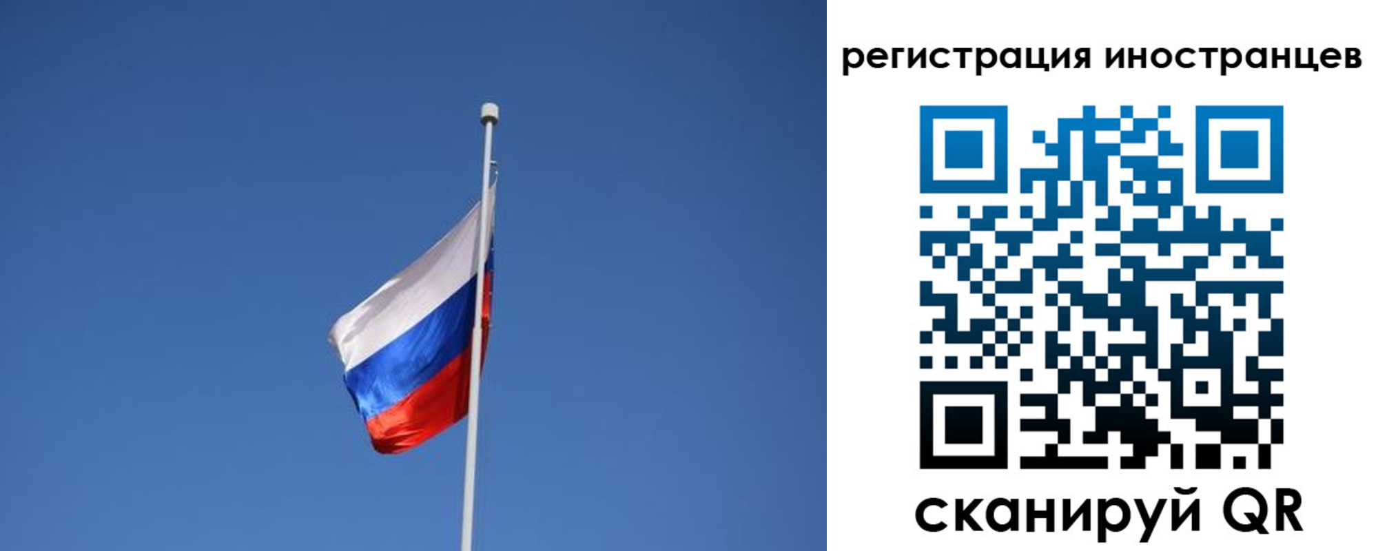 где прописаться в Покрове